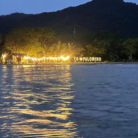 Donama River 帕洛米诺 外观 照片
