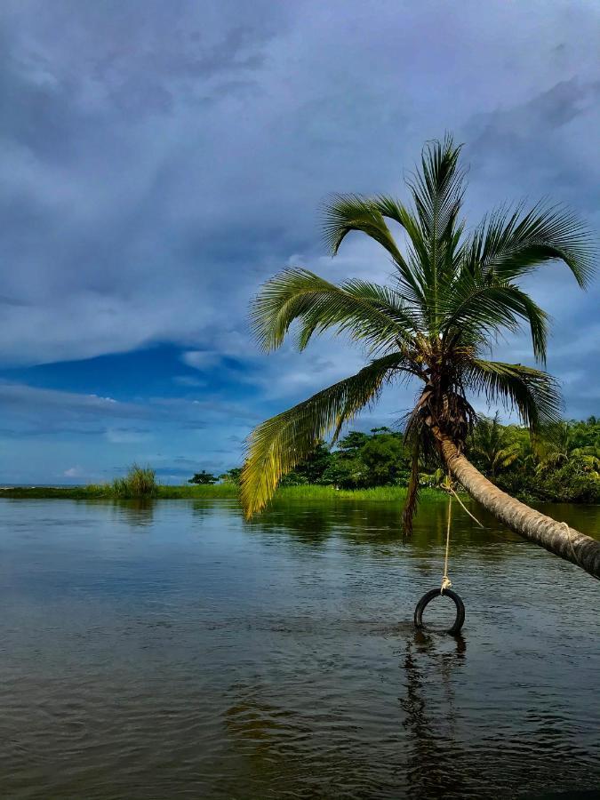 Donama River 帕洛米诺 外观 照片