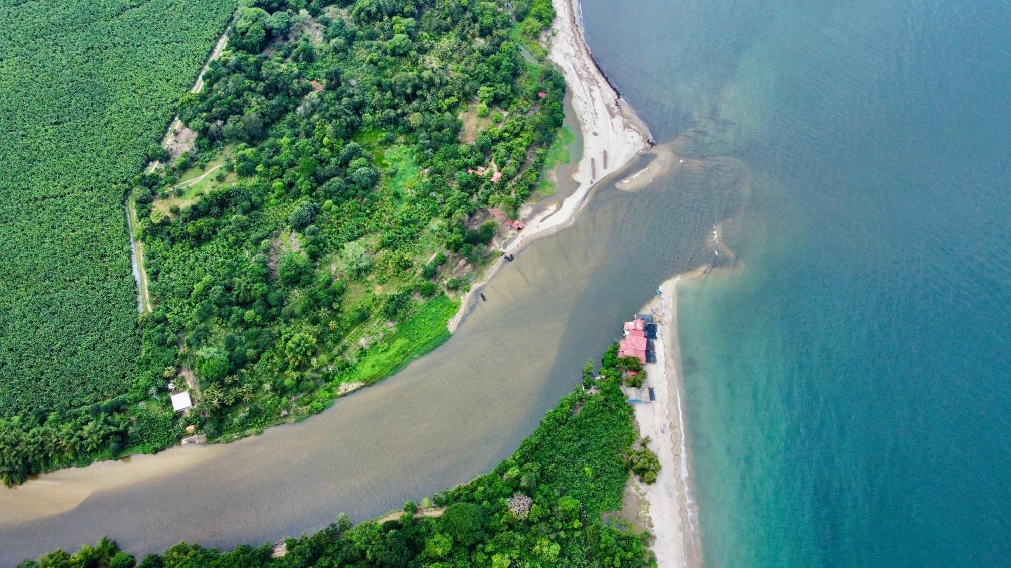 Donama River 帕洛米诺 外观 照片